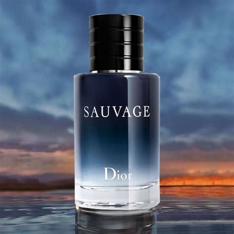 dior oil based perfumes|how expensive is dior perfume.